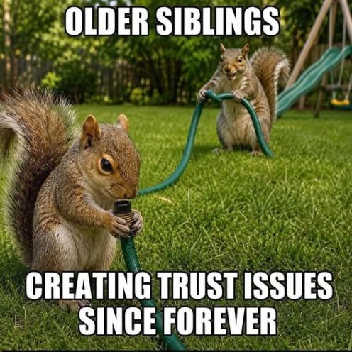 squirrel sibling trust.jpg